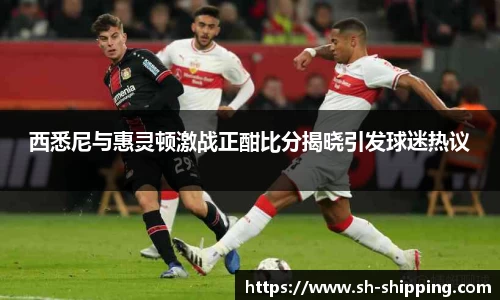 西悉尼与惠灵顿激战正酣比分揭晓引发球迷热议